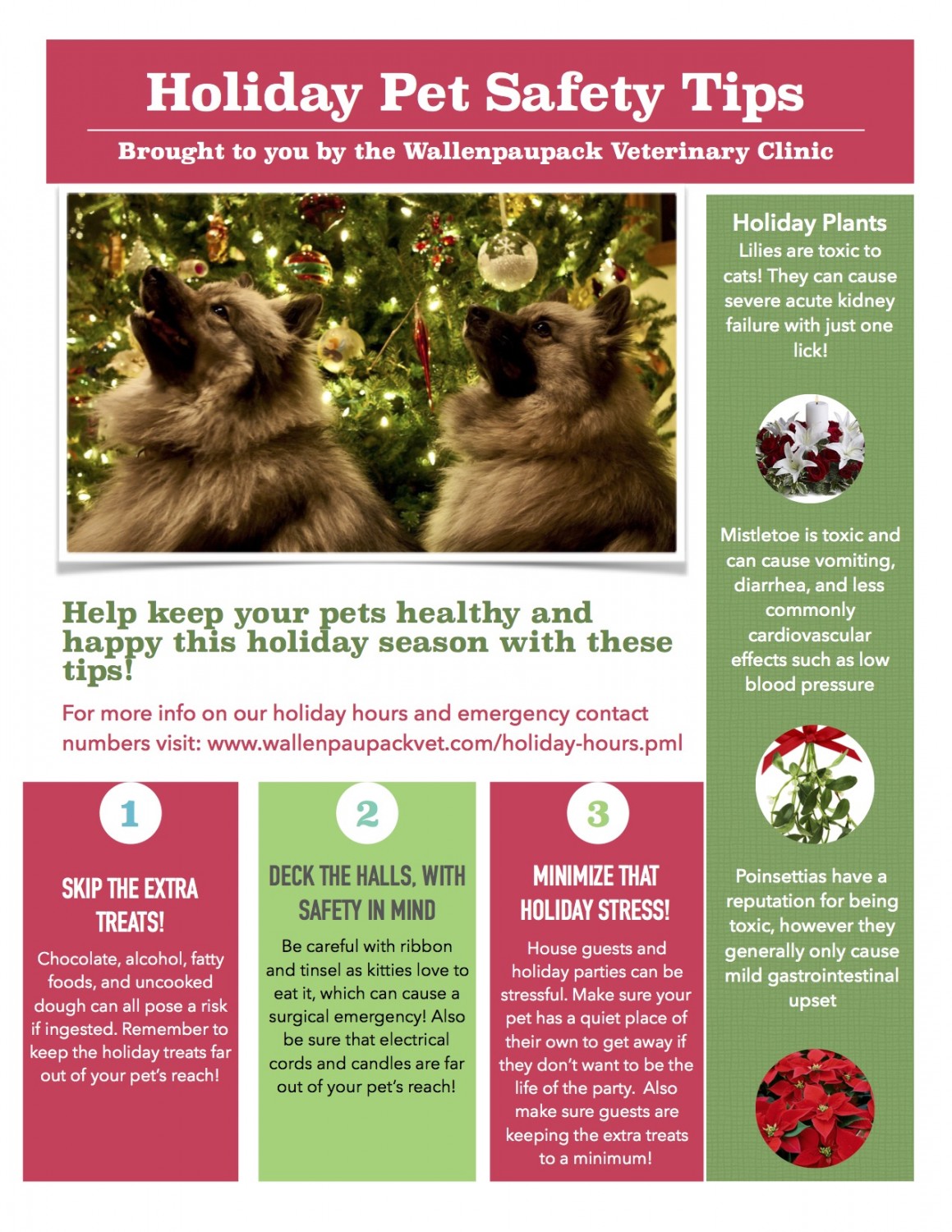 holiday pet safety tips infographic